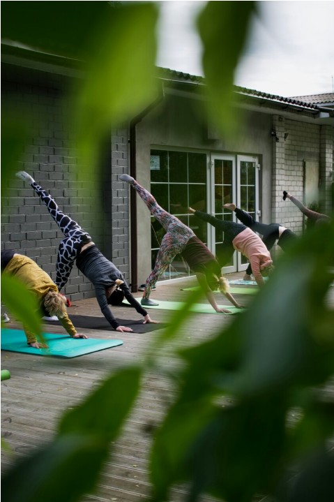 Vinyasa les