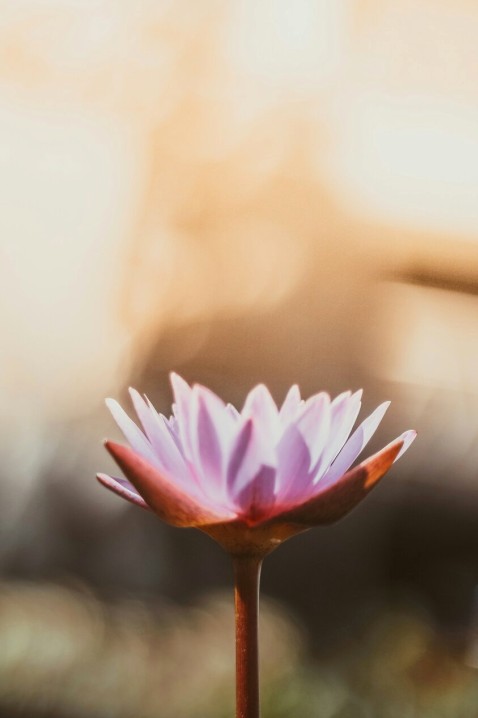 Rustige yin yoga sfeer
